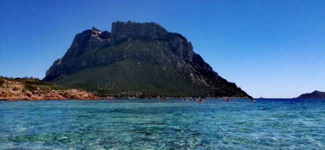 Kayaking in Tavolara Archipelago